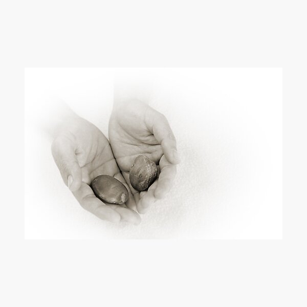 Hands: Wellness Photographic Print