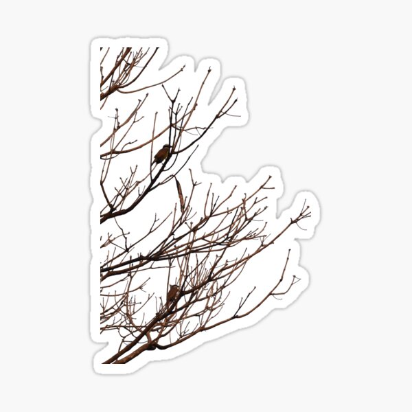 Birds and seeds Sticker