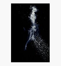0210 - Brush and Ink - Toes and Tail Photographic Print