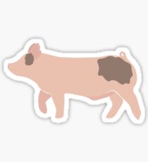 Schaupig Sticker