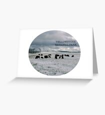 Yellowstone National Park Greeting Card