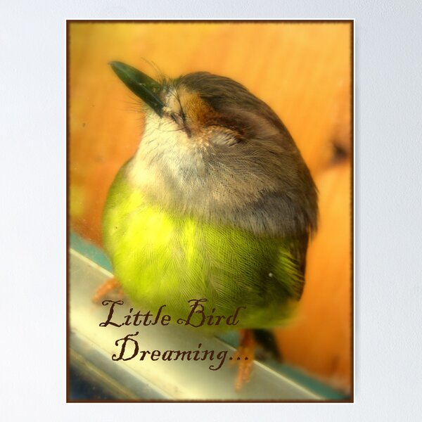 Item preview, Little Bird Dreaming designed and sold by Vanessa Barklay.