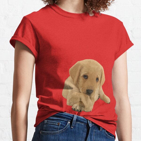 t shirt for puppies