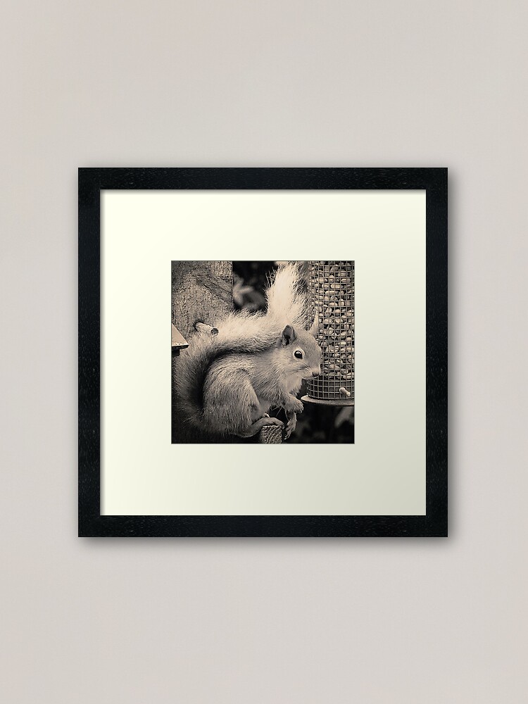 Alternate view of Squirrel in the Garden Framed Art Print