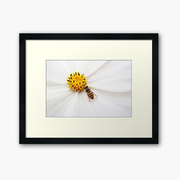 Item preview, Dining al fresco - insect on flower designed and sold by Agnes McGuinness.