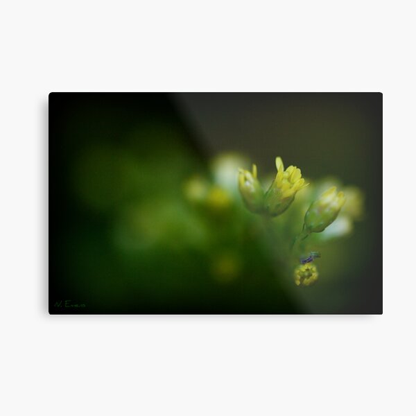 thinking of spring Metal Print