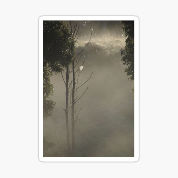 Item preview, Caught on the Web - Magpie Springs - Adelaide Hills Wine Region - Fleurieu Peninsula - South Australia designed and sold by MagpieSprings.