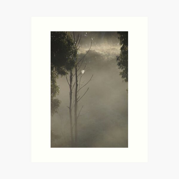 Item preview, Caught on the Web - Magpie Springs - Adelaide Hills Wine Region - Fleurieu Peninsula - South Australia designed and sold by MagpieSprings.