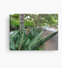 Streetscape Metal Print