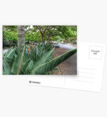 Streetscape Postcards