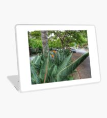 Streetscape Laptop Skin