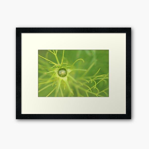 Item preview, Tenderly green - a little bud designed and sold by Agnes McGuinness.