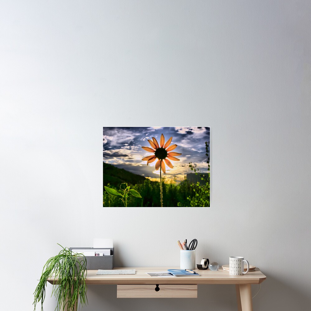 Item preview, Poster designed and sold by muratodentro.