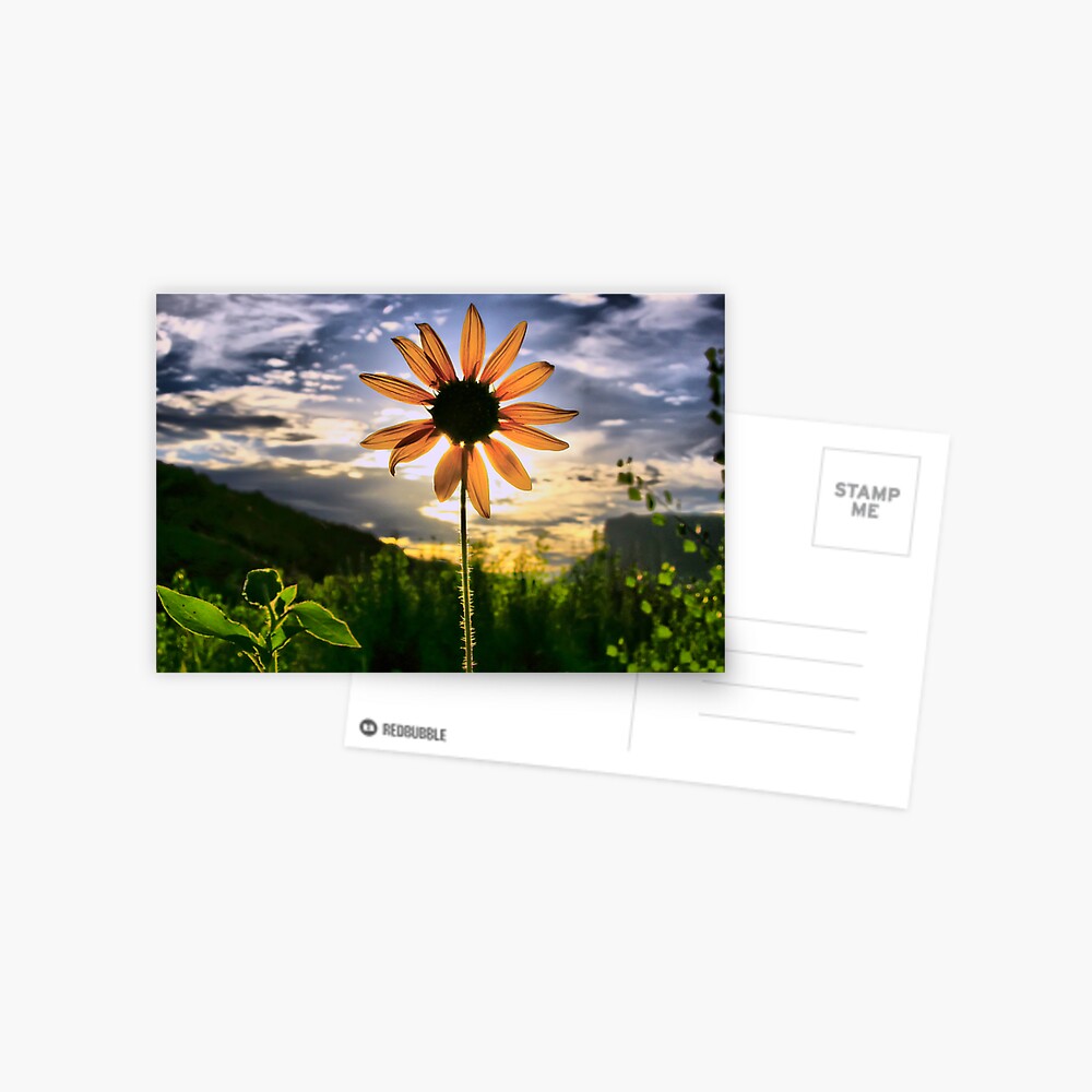 Item preview, Postcard designed and sold by muratodentro.