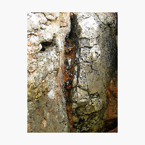 Photographic Print