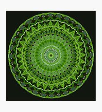 Shades of Green Photographic Print