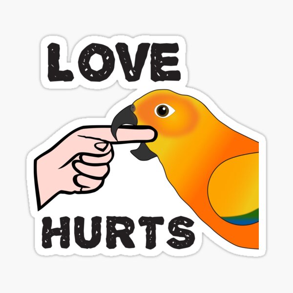 Sun Conure Parrot - Love Hurts Sticker
