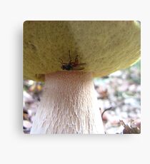 Bon Appetit! Metal Print