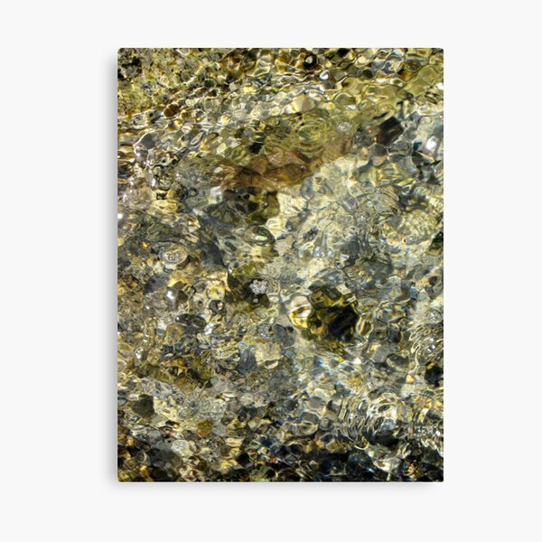 SILVER WATER OF LIFE Canvas Print