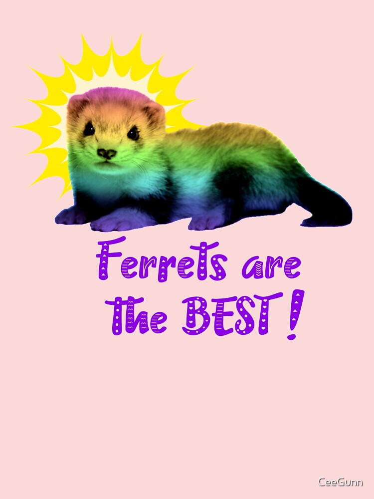 Ferrets best sale for kids