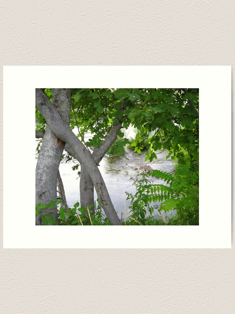 Thumbnail 1 of 3, Art Print, GREEN, GRAY AND SILVER designed and sold by TatianaMichaela.