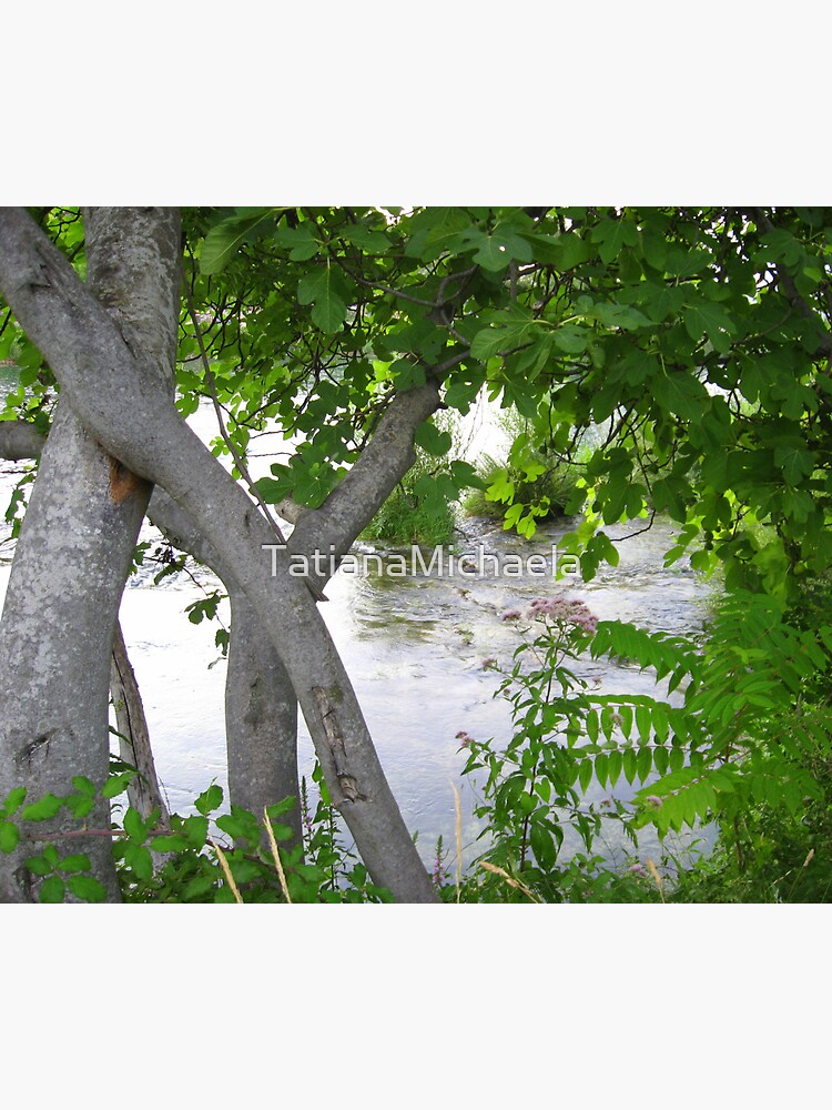 Thumbnail 3 of 3, Art Print, GREEN, GRAY AND SILVER designed and sold by TatianaMichaela.
