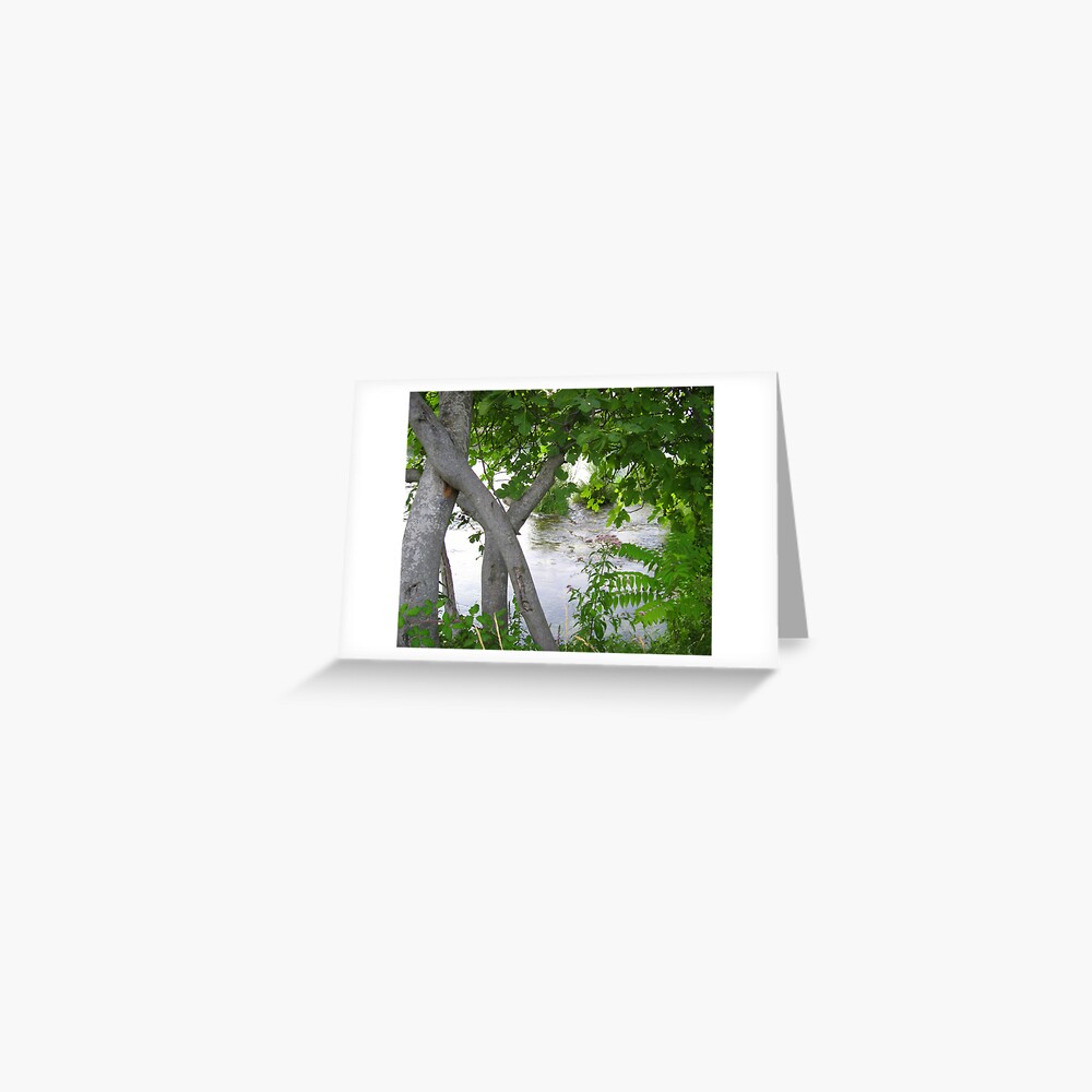 Item preview, Greeting Card designed and sold by TatianaMichaela.