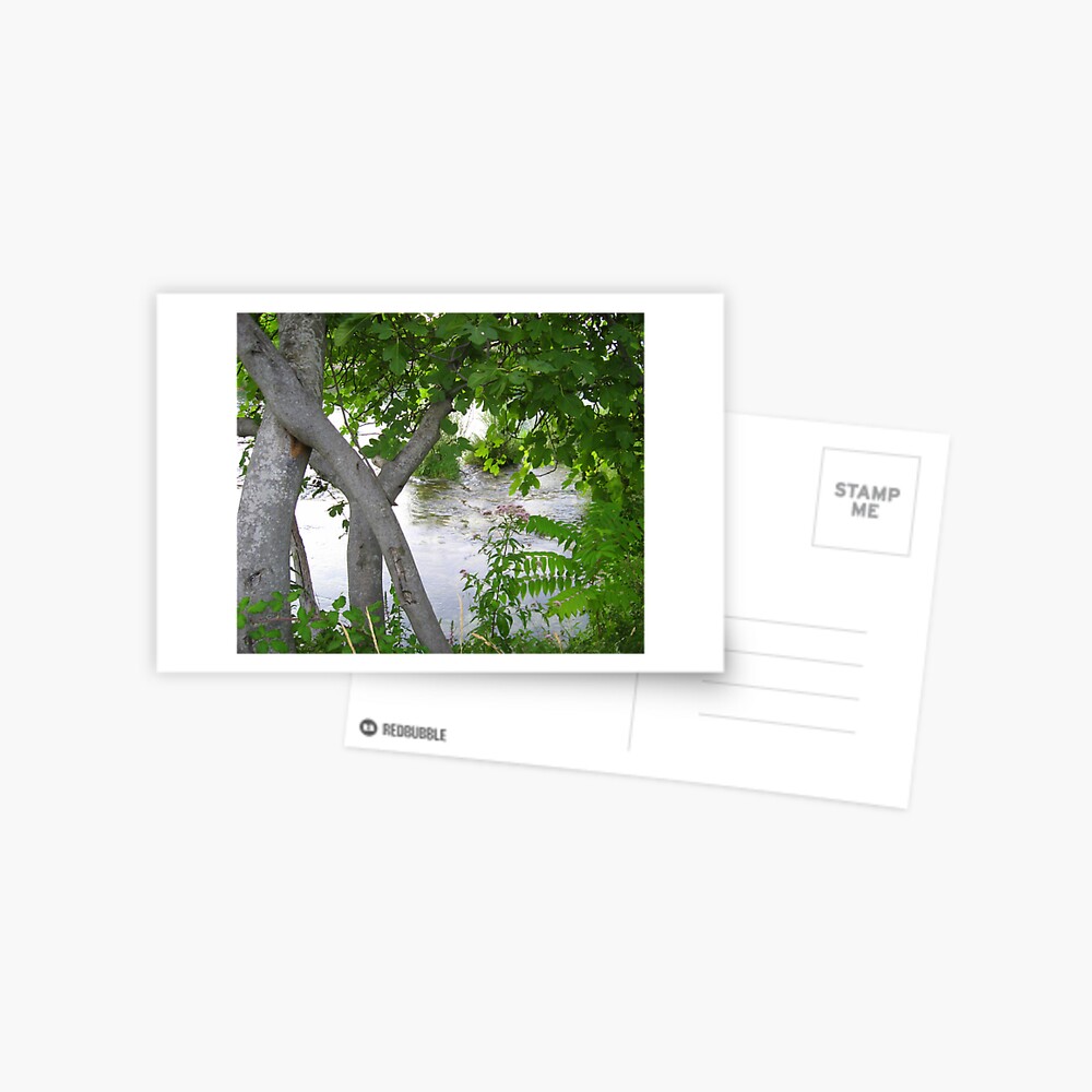 Item preview, Postcard designed and sold by TatianaMichaela.