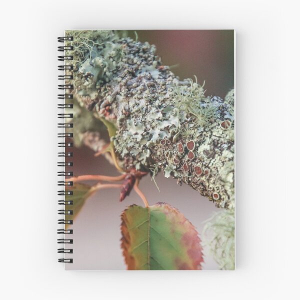 Item preview, Lichen 6 Square designed and sold by Carolyn's Captures - Original Photohgraphy.