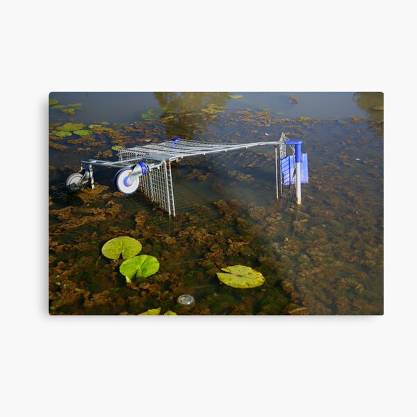 Dumped Trolley Metal Print