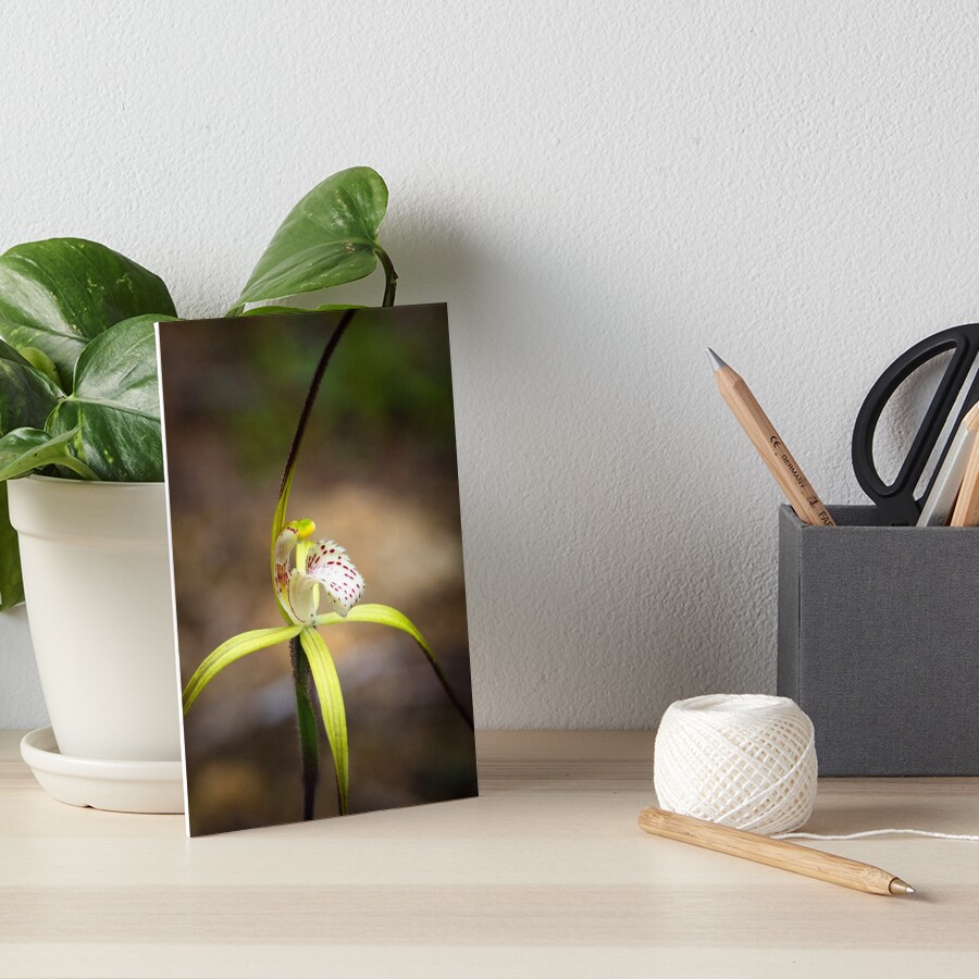 Yellow Spider Orchid Art Board Print