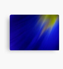 Blue Iris Canvas Print