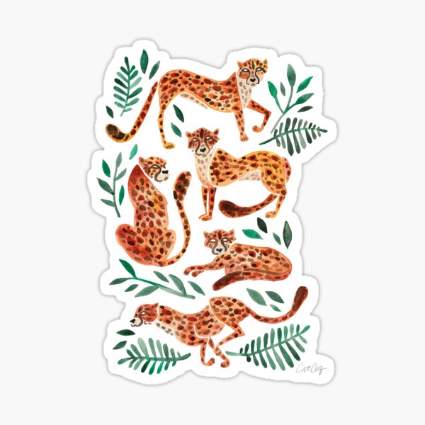 Cheetah Collection – Orange & Green Palette Sticker