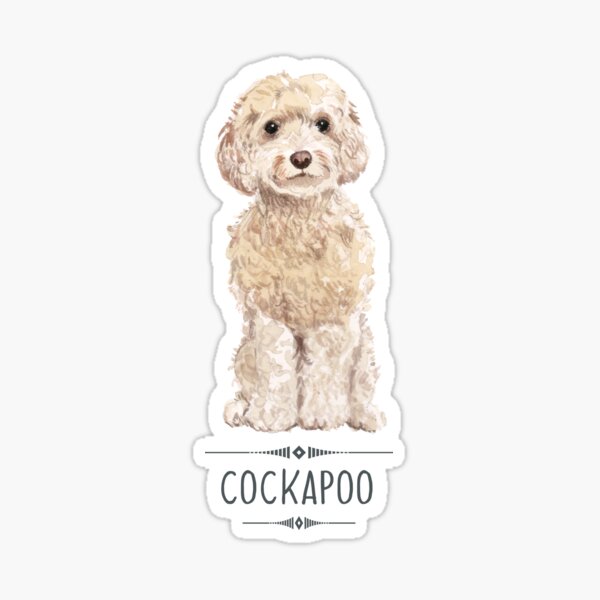 Item preview, Cockapoo designed and sold by bullshirter.