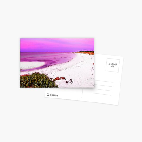 Purple Sunset Postcard