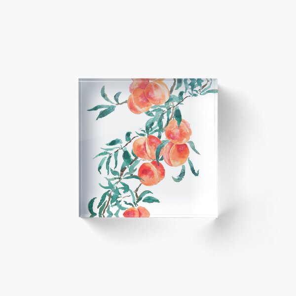 pink peach watercolor Acrylic Block