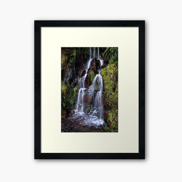 Framed Print