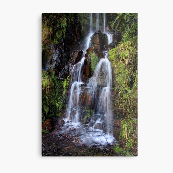 Metal Print