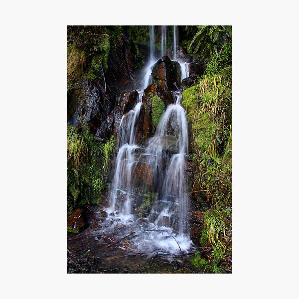 Photographic Print