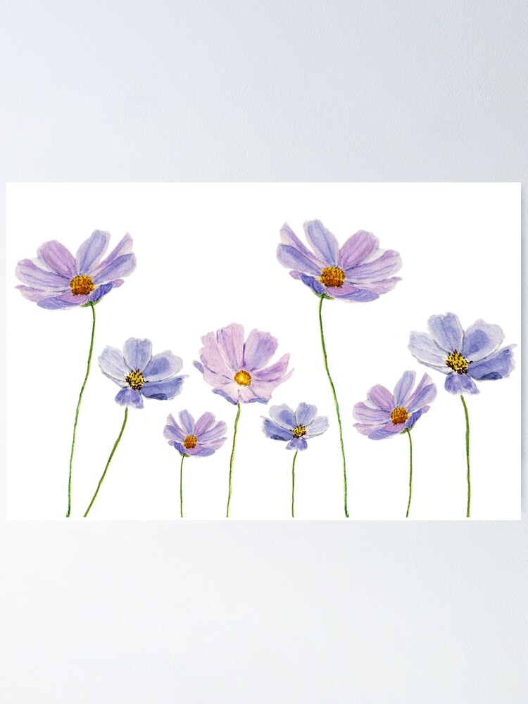 Alternate view of purple cosmos flowers watercolor Poster