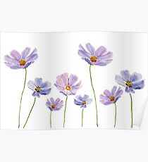 cosmos pourpre Poster