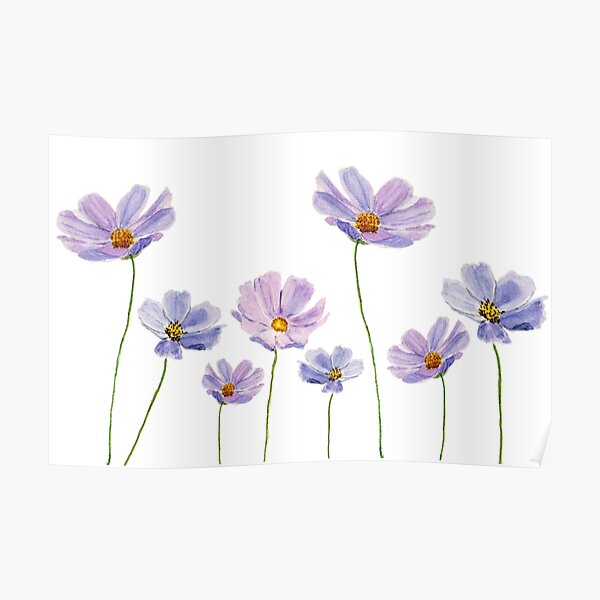 purple cosmos flowers watercolor Poster