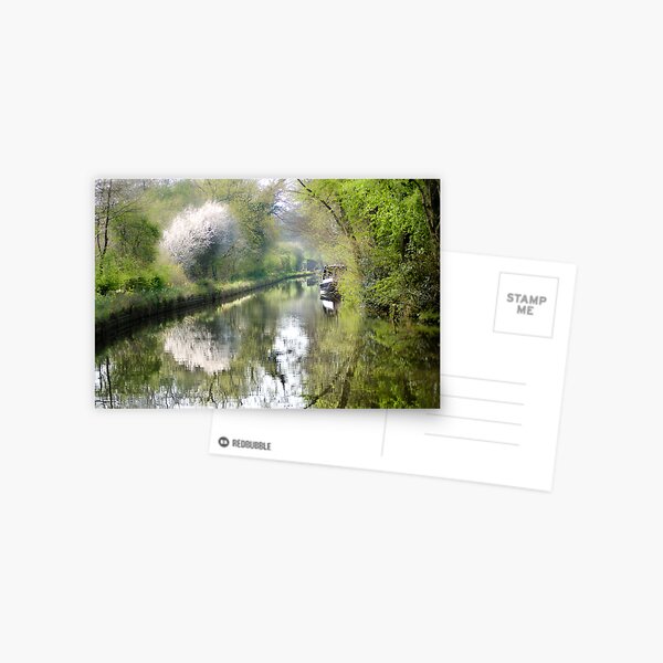 spring canal 2 Postcard
