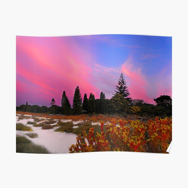 Pink Sunset Poster