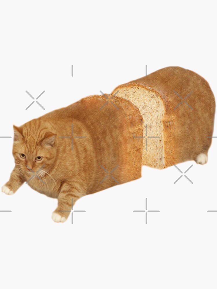 Cat Loaf by Elisecv