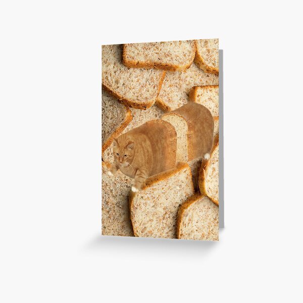 Cat Loaf Greeting Card