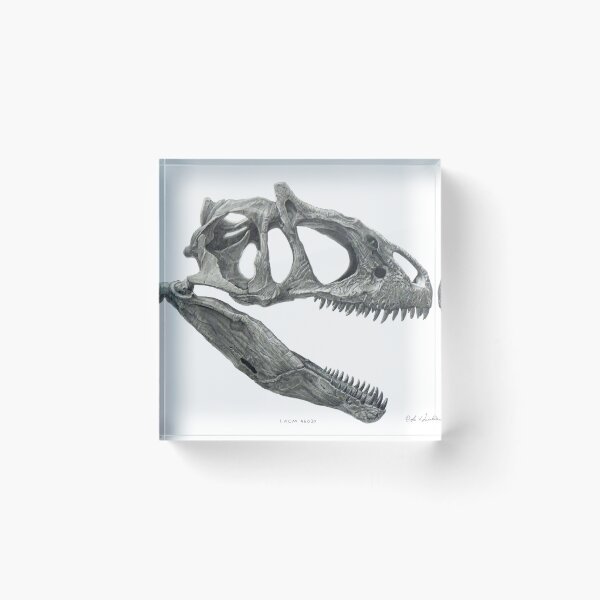 Artikelvorschau, Allosaurus-Schädel entworfen und verkauft von Doyle Trankina.