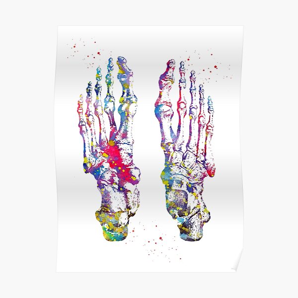 Os de pied Poster