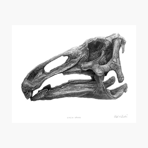 Edmontosaurus (Hadrosaur) Photographic Print