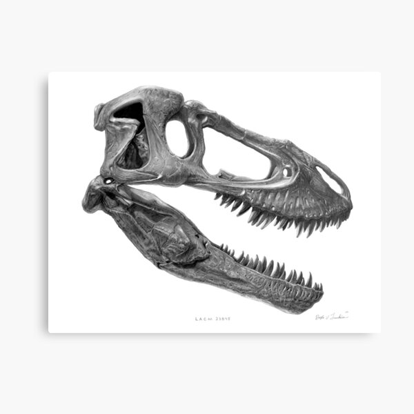 Tyrannosaurus rex (sub-adult) Canvas Print